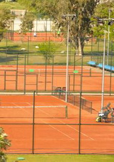 TENNIS ORGANISATION CUP 2017
