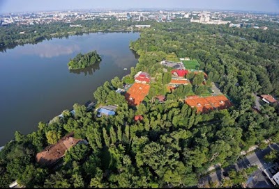 Ioana Cup 2021