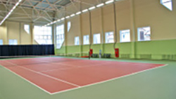 12 закрытых кортов с синтетическим ковром