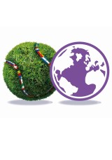Terra Wortmann Open 2022