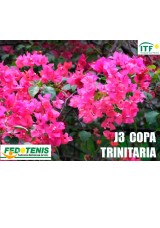 Copa Trinitaria 2022