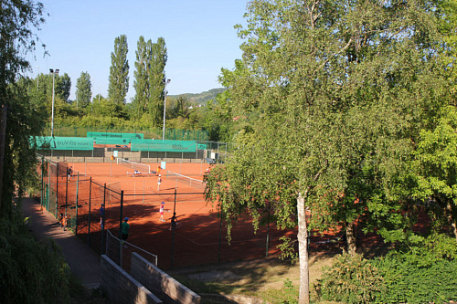 Mosel Cup 2024 U14 by IMMO Capital Group