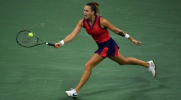 Grand Slam. US Open. Второй полуфинал подряд