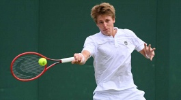 ATP Tour. Libema Open. На траве как на грунте