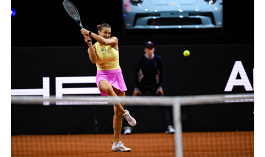 WTA Tour. Porsche Tennis Grand Prix. Прервала серию