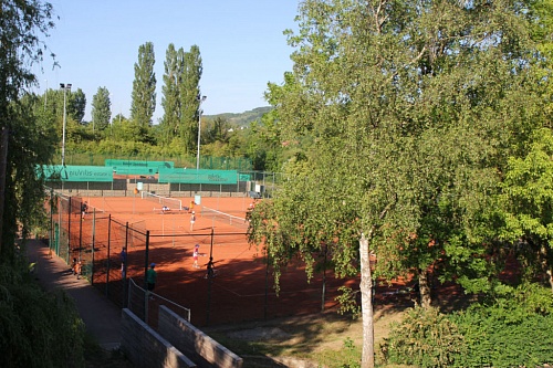 Mosel Cup by IMMO Capital Group 2023