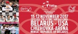 Fed Cup 2017 Final