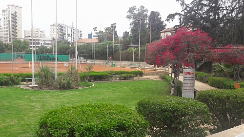 Nicosia Field Club TE U14 2019