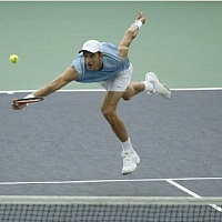 Макс Мирный (2003)