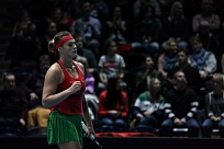   Fed Cup World Group 1 Round 2019. В полуфинал по укороченной программе