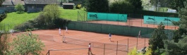 Tennis Europe 12&U. Stork International TE U12 Trophy