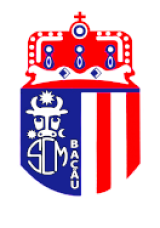 Dedeman & Simba Trophy 2024