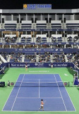 Abierto GNP Seguros 2019