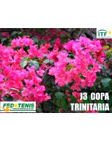 Copa Trinitaria 2022